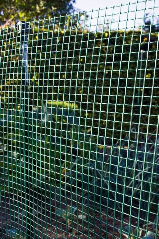 Ambassador Garden Mesh - 30 x 1m