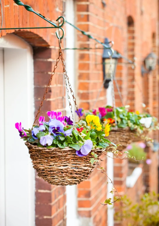 Ambassador Rattan Hanging Basket - 16"