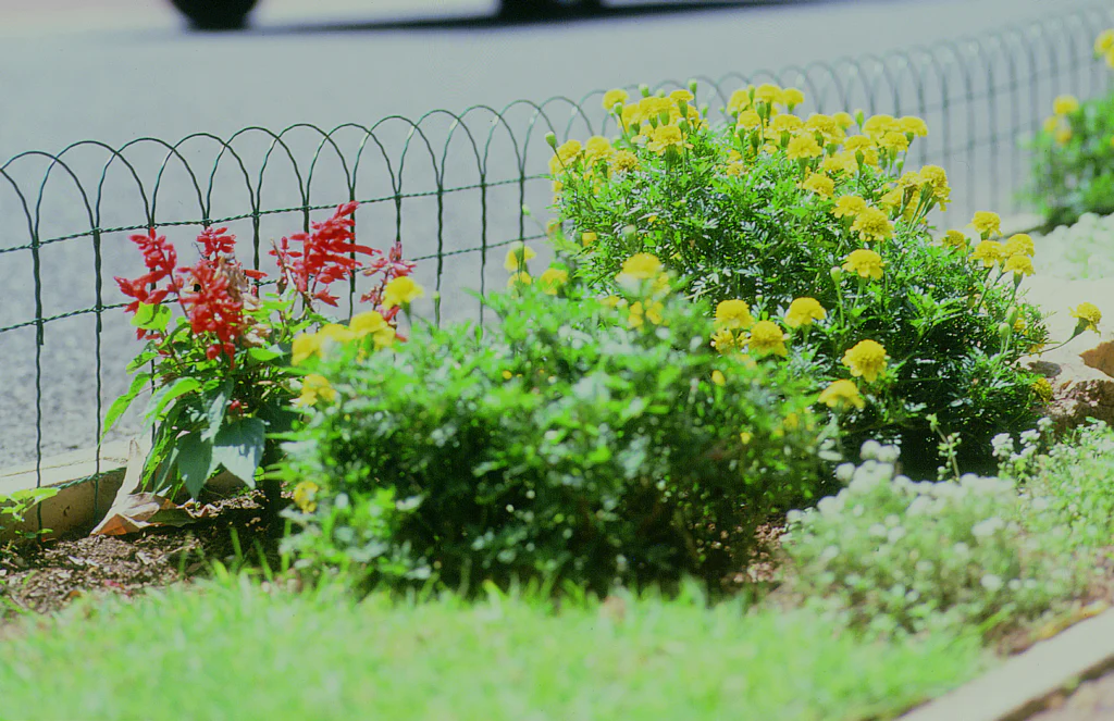 Apollo Border Fence - 400mm x 10m