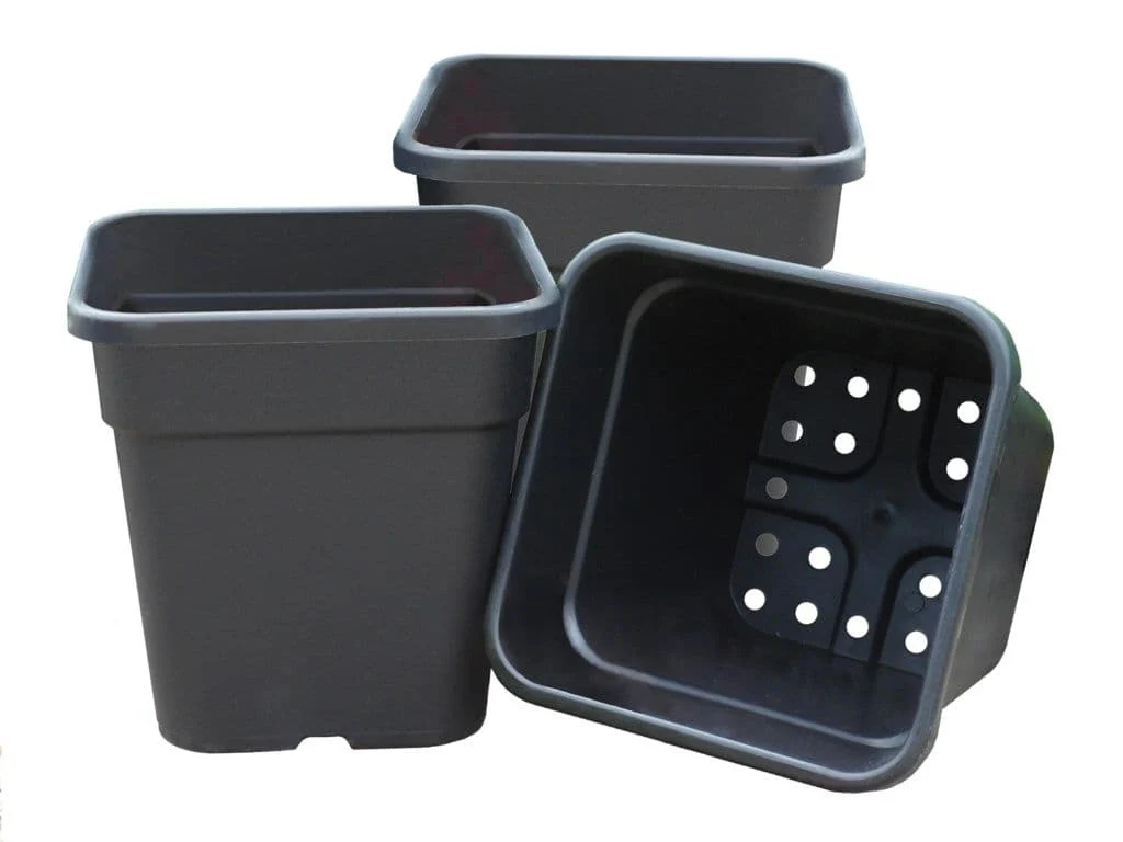 Garland Square Tomato Pots Black - 21cm