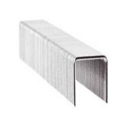 Rawlplug Professional Flat Wire Staples - 6MM