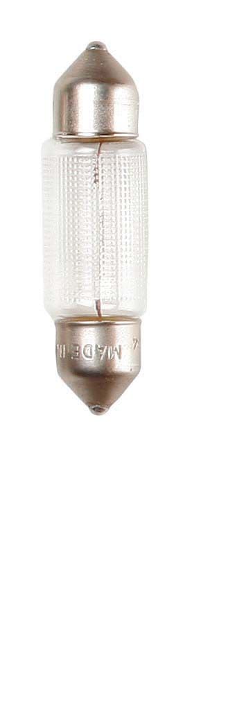 Ring Festoon - 10 Watt