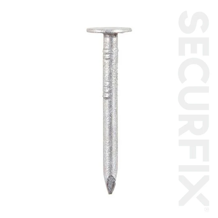Securfix Clout Nails Galvanised 30mm - 500g