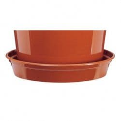 Stewart Flower Pot Saucer - 10"