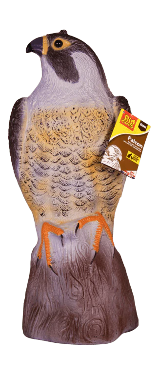 The Big Cheese Falcon