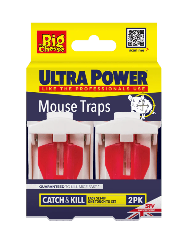 The Big Cheese Ultra Power Mouse Traps - Twin Pack